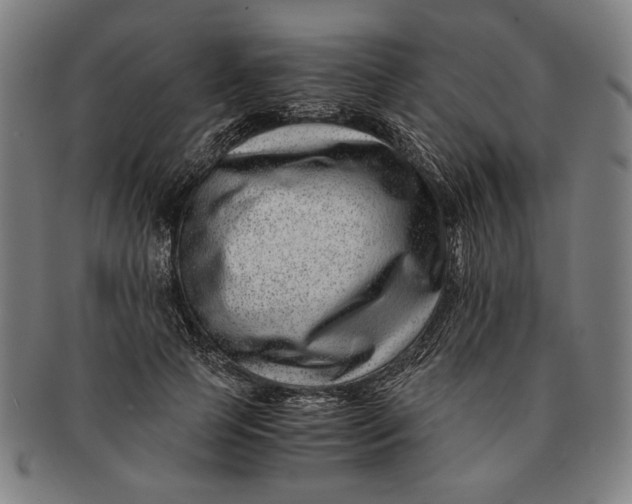 X0000091220745200708301451