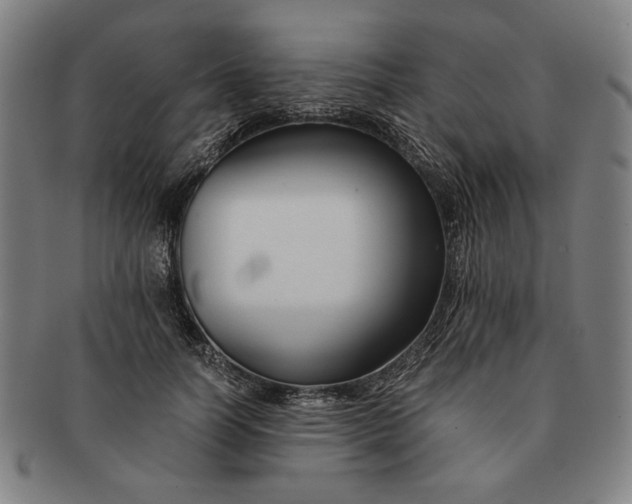 X0000091220746200708301451