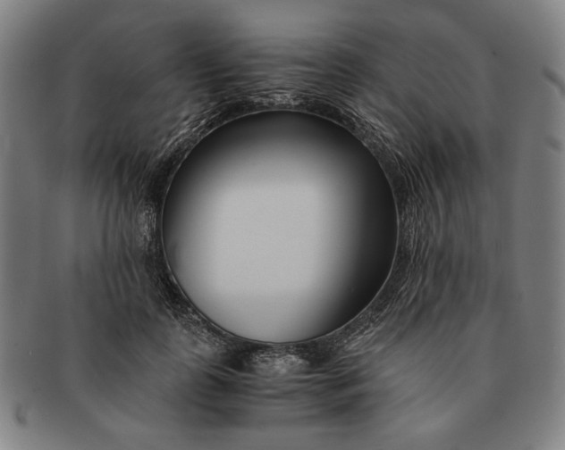 X0000091220747200708301451