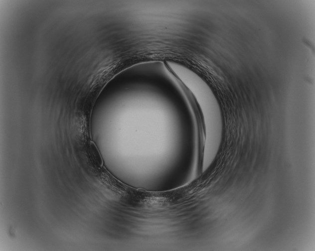 X0000091220748200708301451