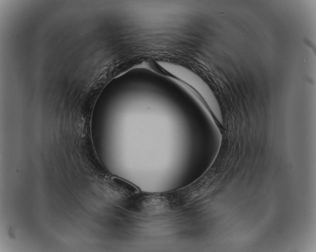 X0000091220750200708301451