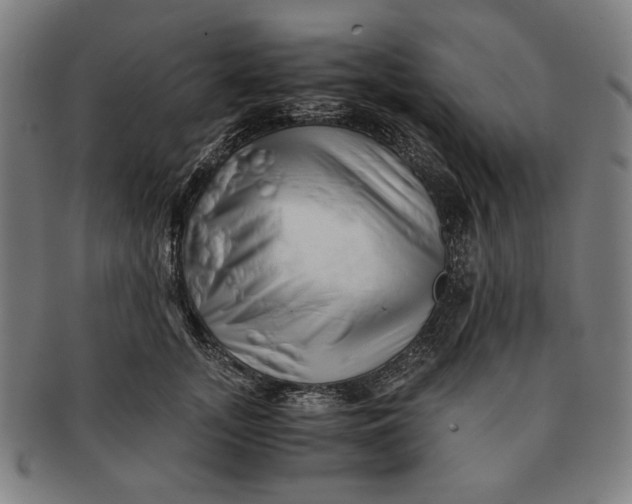 X0000091220755200708301451