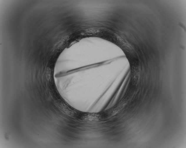 X0000091220758200708301451