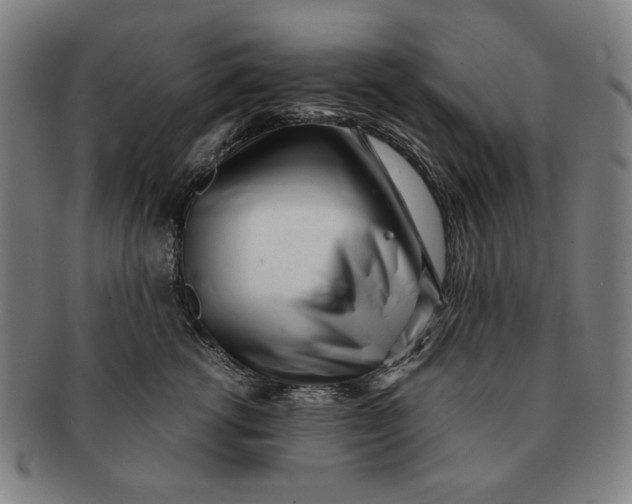 X0000091220762200708301451