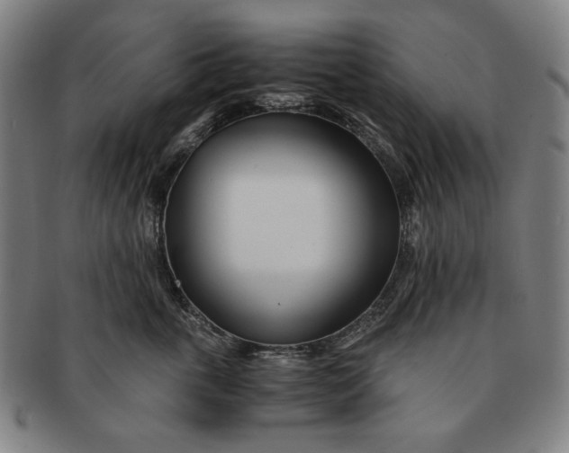 X0000091220763200708301451