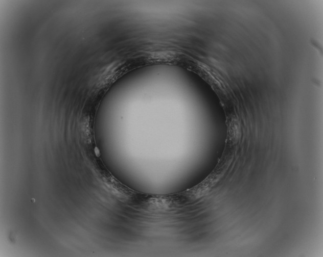 X0000091220764200708301451