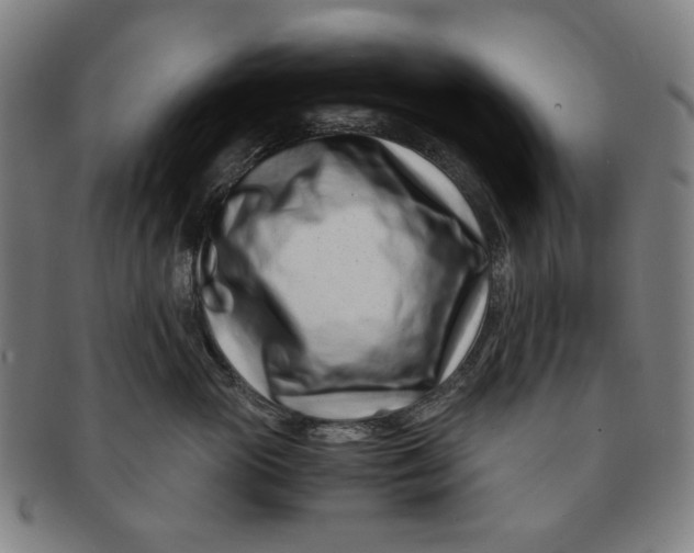 X0000091220765200708301451