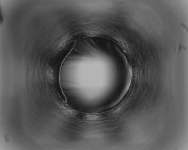 X0000091220766200708301452