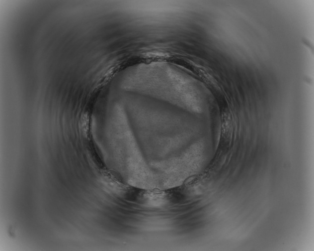 X0000091220767200708301452