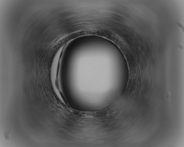 X0000091220773200708301451