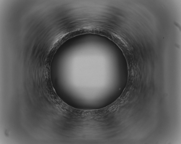 X0000091220776200708301451