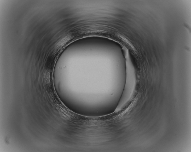 X0000091220777200708301451