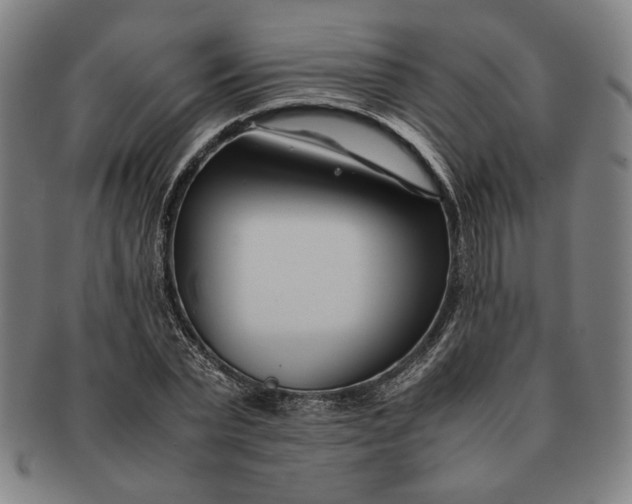 X0000091220783200708301451