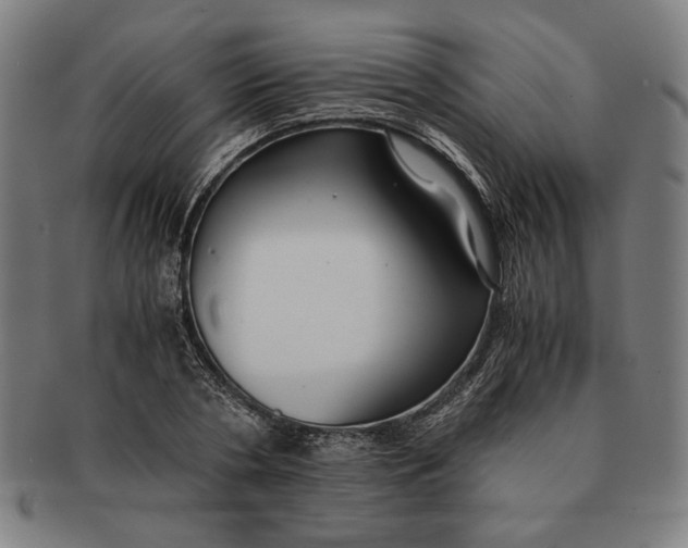 X0000091220786200708301450