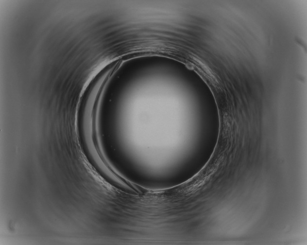 X0000091220788200708301450