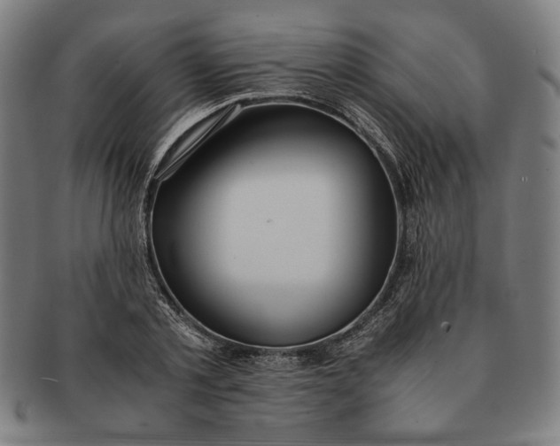 X0000091220789200708301450