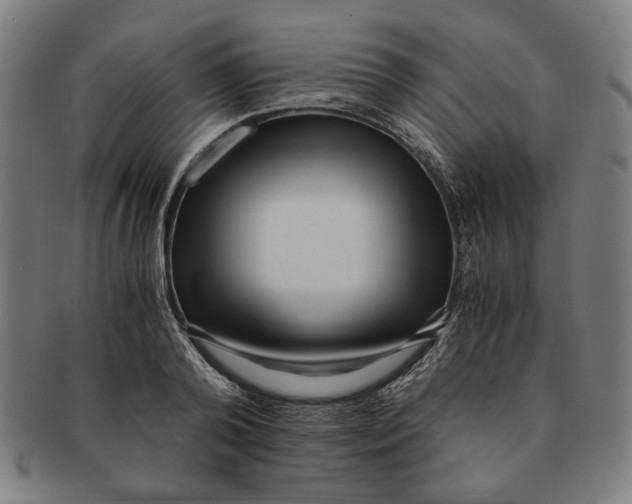 X0000091220792200708301450