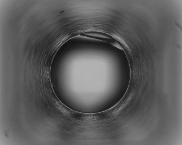 X0000091220793200708301450