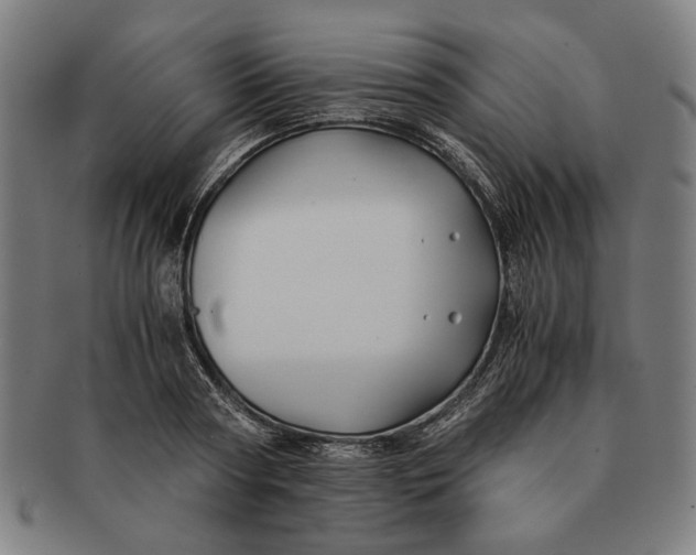 X0000091220794200708301450