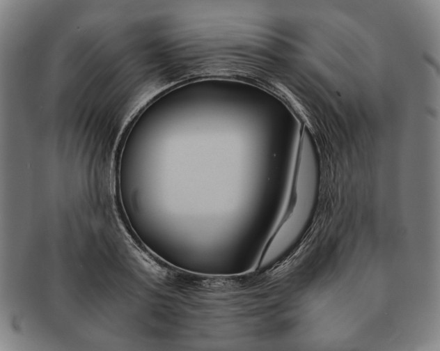 X0000091220795200708301450