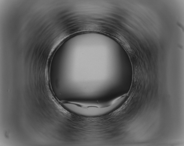 X0000091220796200708301450