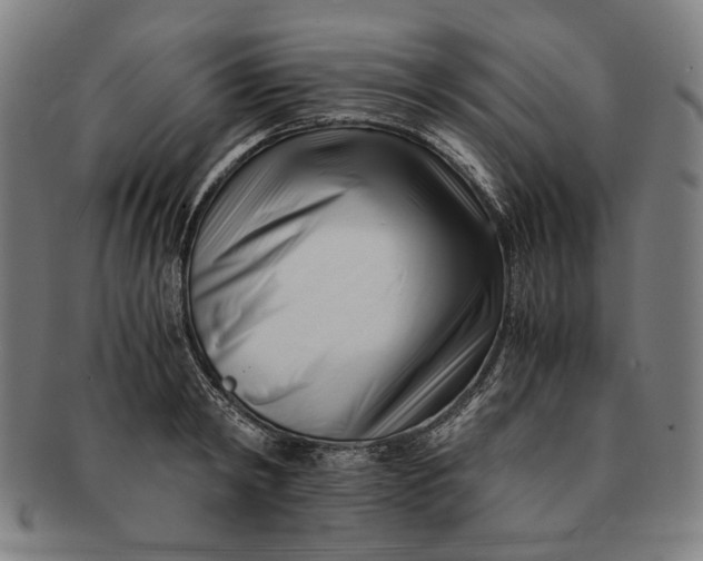 X0000091220798200708301450