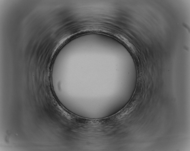 X0000091220799200708301450