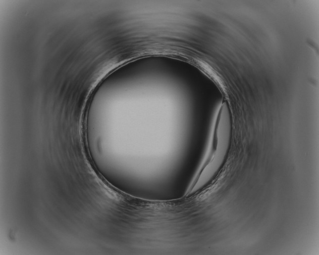 X0000091220803200708301450