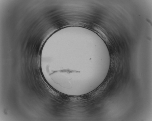 X0000091220804200708301450