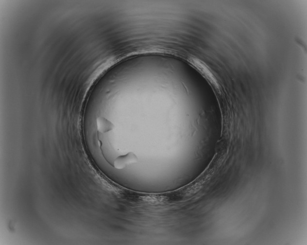 X0000091220805200708301450