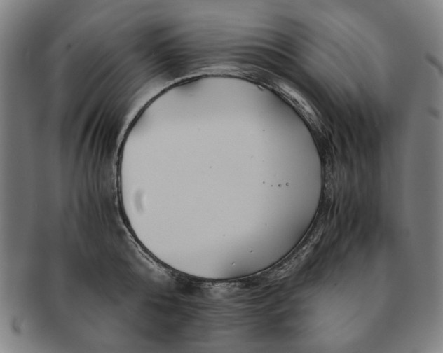 X0000091220808200708301450