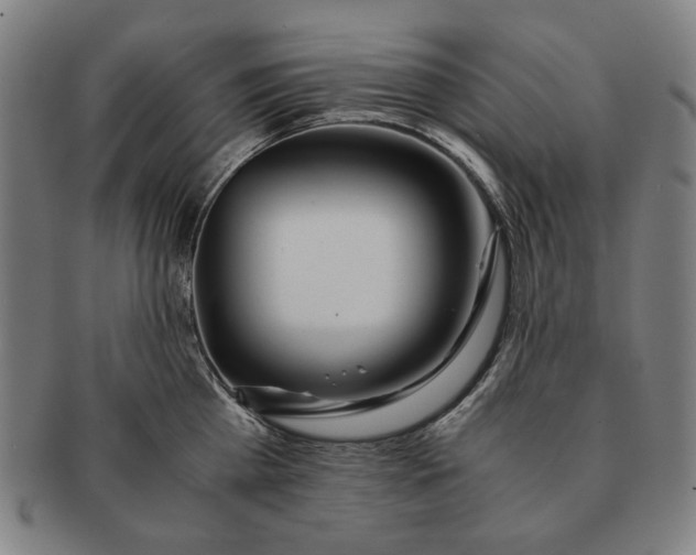 X0000091220809200708301450