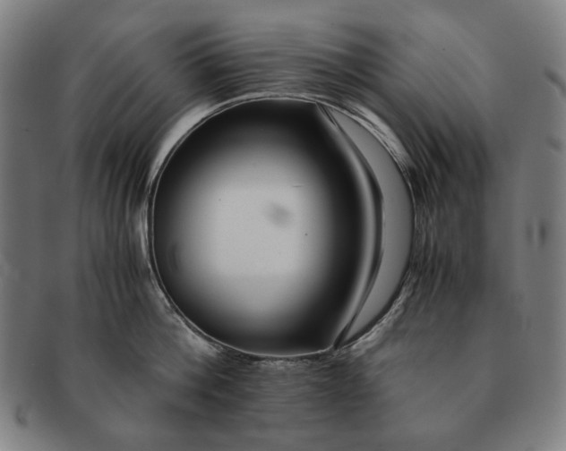 X0000091220812200708301450