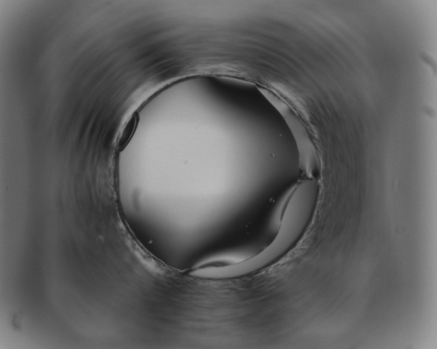 X0000091220816200708301450