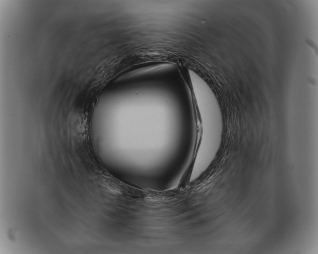 X0000091220818200708301449