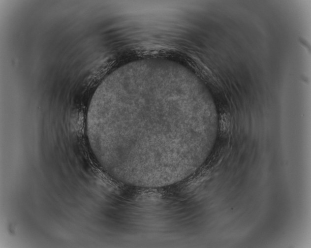 X0000091220820200708301449