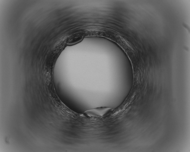 X0000091220821200708301449