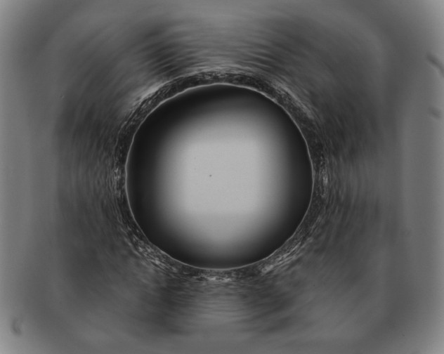 X0000091220822200708301449