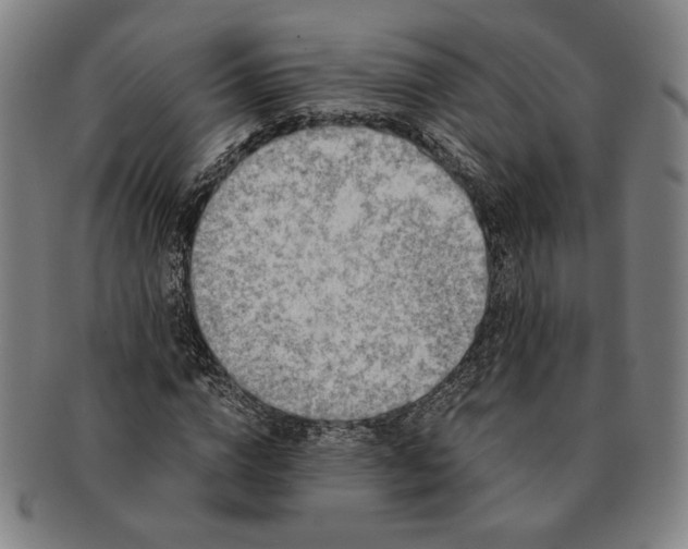 X0000091220824200708301449