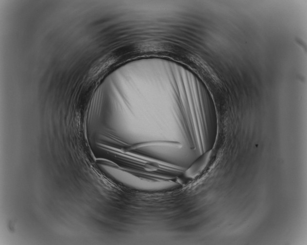 X0000091220825200708301449