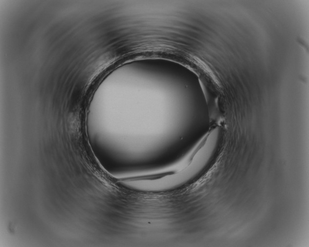 X0000091220826200708301449