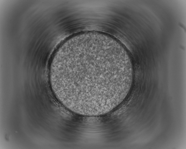 X0000091220832200708301450