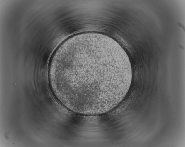 X0000091220836200708301450