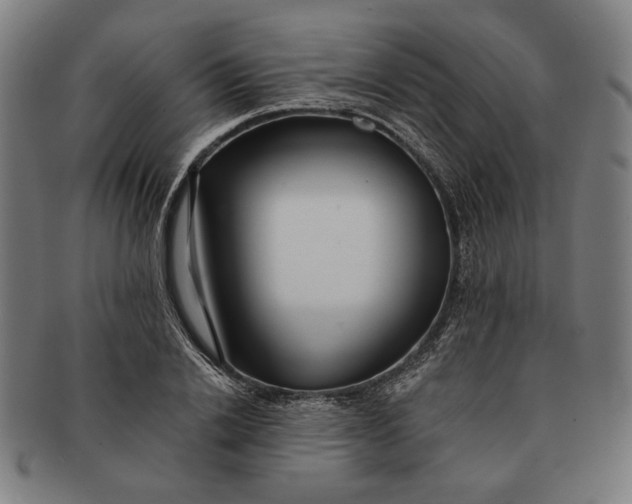 X0000091220838200708301450