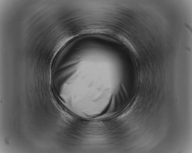 X0000091220844200708301450