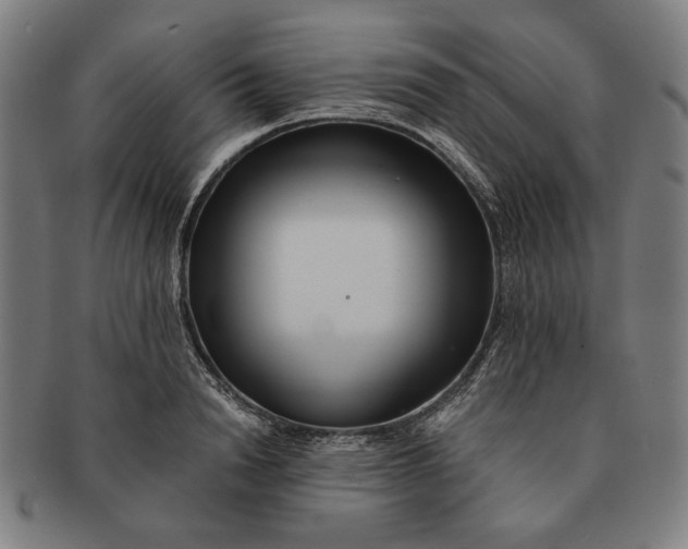 X0000091220846200708301450