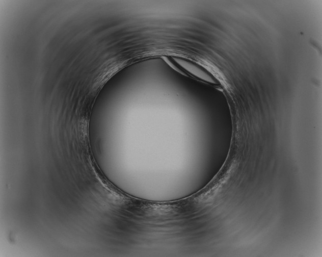 X0000091220849200708301450