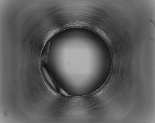 X0000091220850200708301450