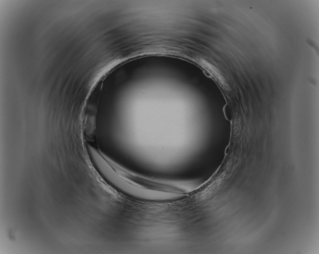 X0000091220854200708301450