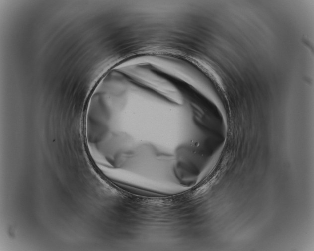 X0000091220855200708301450